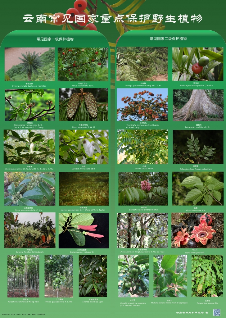 �԰��շ���Σ�������ص㱣��������������ֲ����